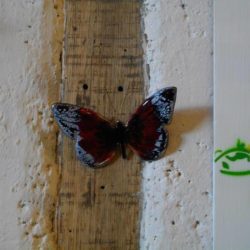 Emaux décoration murale  » papillon rouge et noir »
